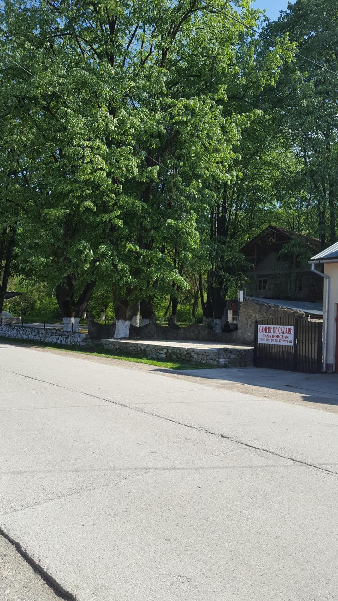 הוילה Sasca Montană Casa Borcean מראה חיצוני תמונה